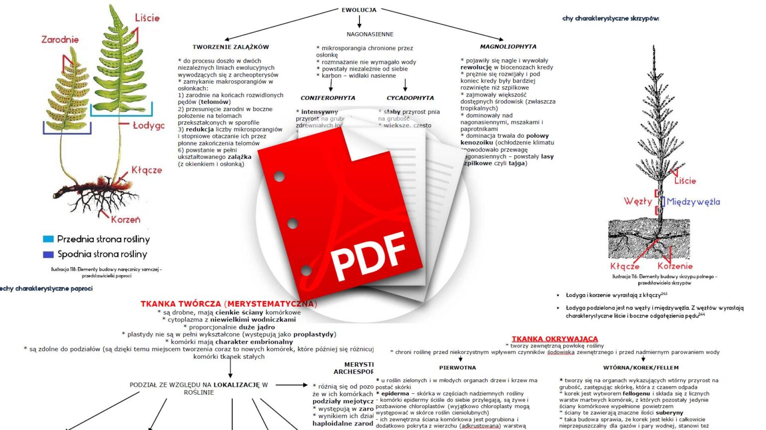 Motywy Literackie Matura Pdf - Matura Notatki